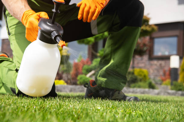 Best Exterminator Services  in Hazlehurst, GA