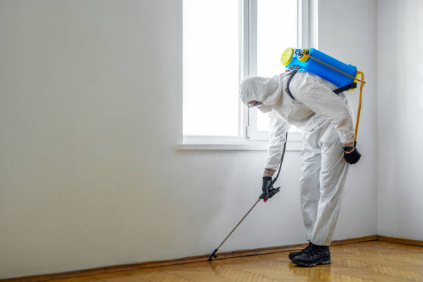 Best Emergency Pest Control  in Hazlehurst, GA