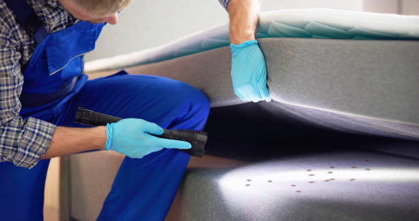 Best Pest Prevention Services  in Hazlehurst, GA