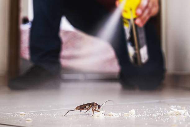 Best Bed Bug Extermination  in Hazlehurst, GA