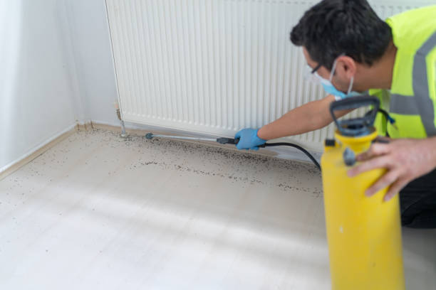 Best Pest Control for Businesses  in Hazlehurst, GA