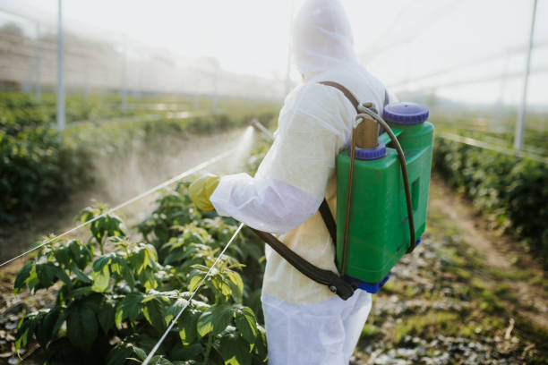 Best Spider Control Near Me  in Hazlehurst, GA